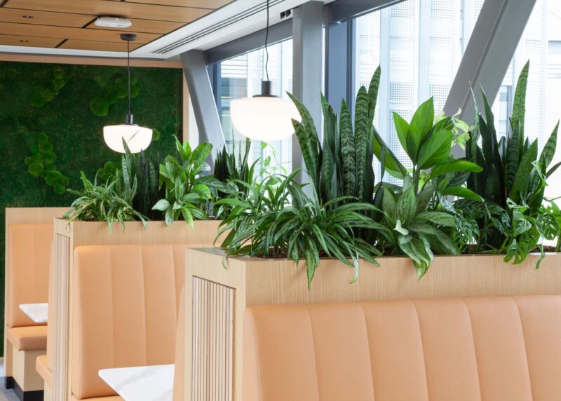 workspace-meeting-pods-divided-by-plant-designs.jpg